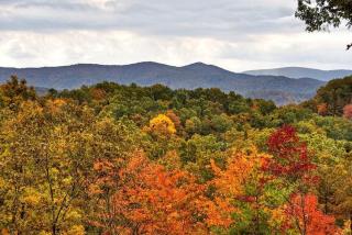 Wakin' on a Pretty Day - Blue Ridge - 9