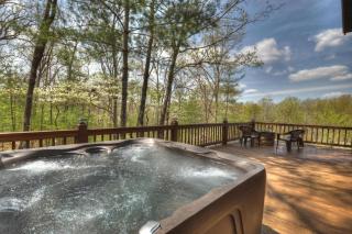 Seclusion at Hideaway Mountain - Mineral Bluff - 6