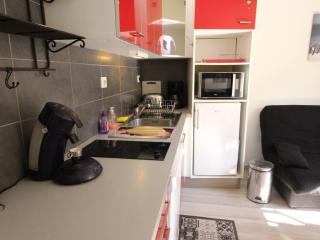 Studio Cabine RDC pour 2/3 Pers avec Jardin, Parking, LL, LV, Wifi - Proche Thermes et Télécabine - FR-1-313-223 - 1