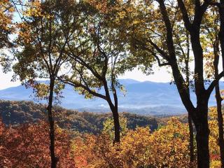 Summit Venture - Ellijay - 7