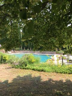B&B Contemporain Le Jardin - Vaison-la-Romaine - 2