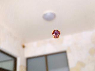 KAYA RESORT KOURIJIMA - Vacation STAY 94979v - Kouri - 3