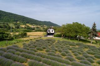 Vacation Home - NEST Kalnik - Kalnik - 1