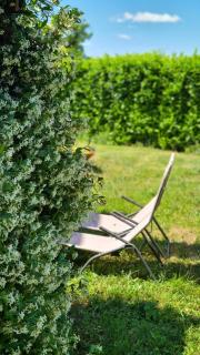 Appartamento Il Nido - 6