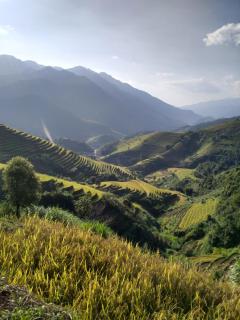 See bungalow mu cang chai - Mù Cang Chải - 6