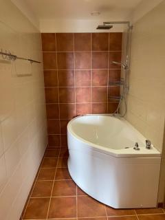 Spacious 3-bedroom apartment with sauna - 2