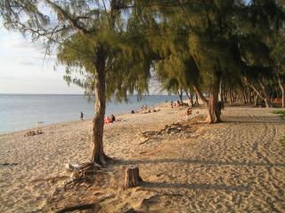 Villa Laurier Rose avec piscine proche lagon de La Saline - 1