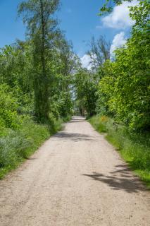 Wohnen am Südstrand - Ferienwohnung 1 2 - 2