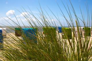 Wohnen am Südstrand - Ferienwohnung 2 2 - Wyk auf Föhr - 1
