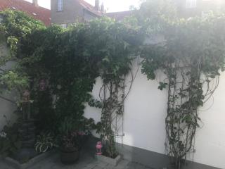 *****elegant feriebolig i hjertet af Kerteminde - 2