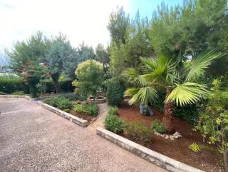 Villa Adelaide - Ceglie Messapica - 6