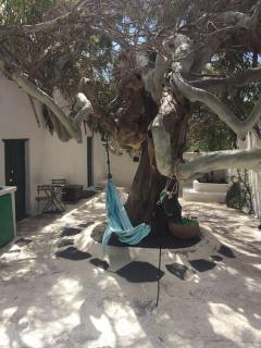 Studio III at orig. Finca,, sea views - La Asomada - 0