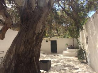 Studio III at orig. Finca,, sea views - La Asomada - 5