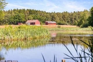Raftarp - Country side cottage in the woods - Sjöbo - 2