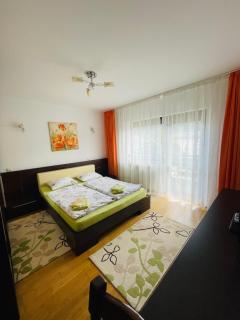 Vila Madisa - Buşteni - 1