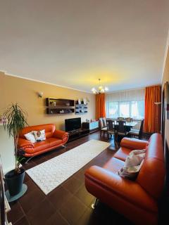 Vila Madisa - Buşteni - 4