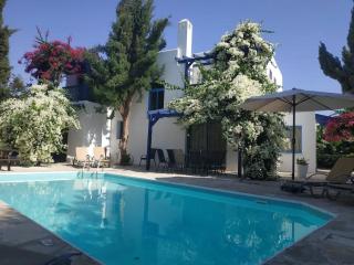 Banana Sunset Villas - Paphos - 4