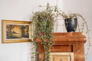 Theatre Art Residence - 7