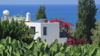 Banana Sunset Villas - Paphos - 8