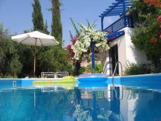 Banana Sunset Villas - Paphos - 1