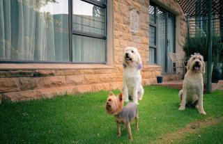 Titanic View - Place of Peace - 3