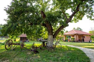 Imanje Lotus Garden - Šabac - 1