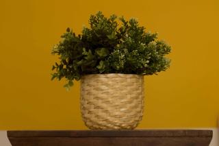 Intendente 1865 Suites - Lissabon - 5