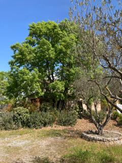 SOUS UN OLIVIER Gîte Le Mûrier, au calme avec climatisation et piscine - 2