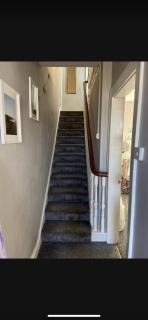 Sea View Terrace - Donaghadee - 1