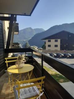 studio cabine Chatel - Châtel - 0