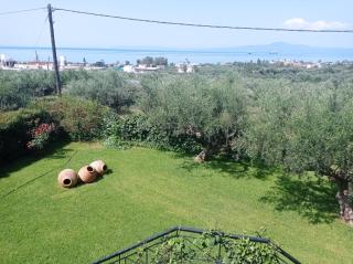 Dimitra's garden - Kalamata - 2