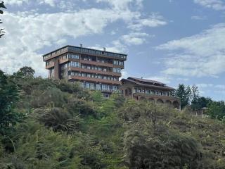 Avulot Mountain Resort Hotel - Trabzon - 2