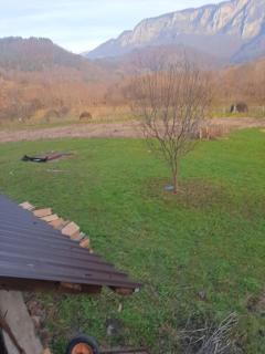 Pensiunea codru - Sălciua de Jos - 3