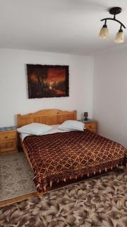 Pensiunea Piatra Mandrutului - 1