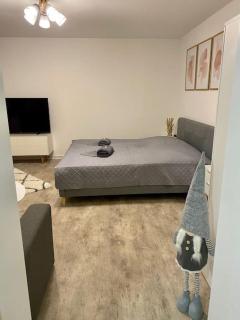Stilvolle Ferienwohnung mit Stellplatz WLAN free Netflix Nähe Bahnhof - Zwickau - 4