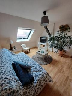 Charmant logement avec parking gratuit sur place - Barr - 4