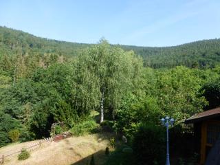 Fewo Tannenhof 1 - Kirchzell - 6
