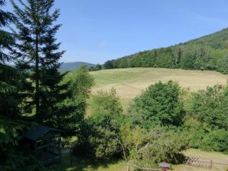 Fewo Tannenhof 1 - Kirchzell - 5