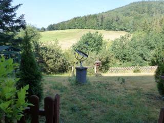 Fewo Tannenhof 2 - Kirchzell - 4