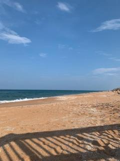 Ormond Beach, fun & loving sun! - 8