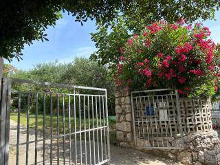 Apartment Oliva Mediterranean garden,Paradise beach - Lopar - 8