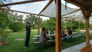 Szellős Rét Camping - Bálványos - 2