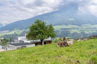 Haus Nordketten Blick - Schönberg im Stubaital - 9