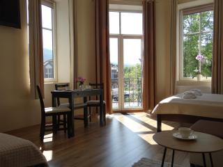 The Lion Rooms - Ustroń - 4