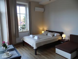 The Lion Rooms - Ustroń - 6