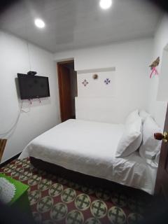 Hotel Posada Turística la Ceiba - Vergara - 8