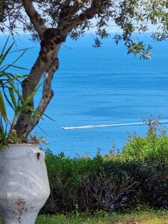 Bellevue Village ''Αdults Only'' - 3