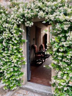 Tenuta Di San Giusto in Salcio - Gaiole in Chianti - 8