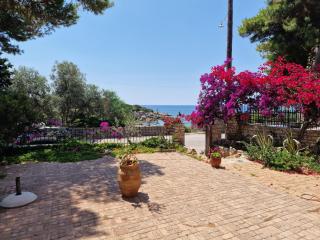 Archos Beachfront Studio - Porto Cheli - 0