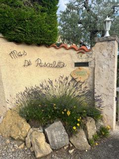 Mas de Pascalette - Montauroux - 9